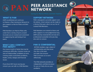 thumbnail of AMPI PAN 2021